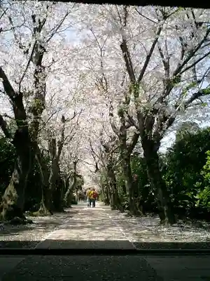 極楽寺（霊鷲山感應院極楽律寺）のその他建物