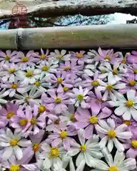 立志神社(滋賀県)