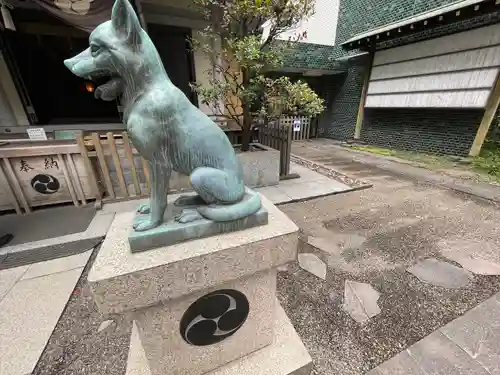 宮益御嶽神社の狛犬