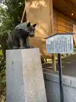 稲毛神社の狛犬