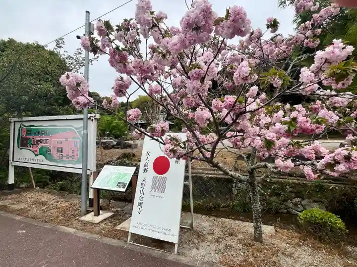 金剛寺(大阪府)