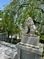 毛谷黒龍神社(福井県)