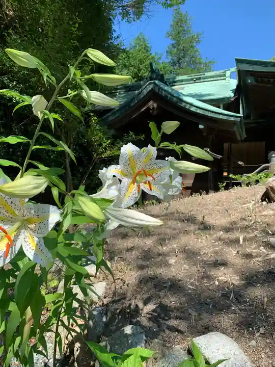 子鍬倉神社の自然