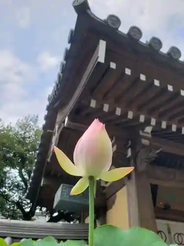 玄国寺の自然