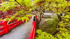 養父神社(兵庫県)