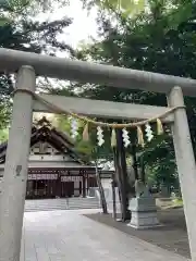 新琴似神社の鳥居