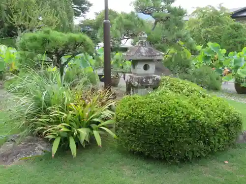 正蓮寺の庭園