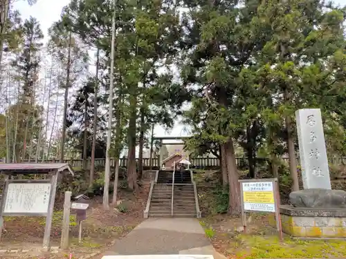 居多神社の建物その他