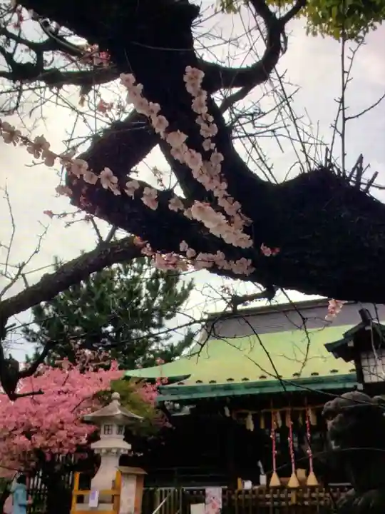 新宿下落合氷川神社(東京都)