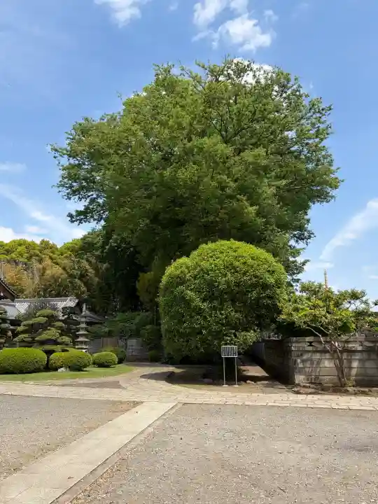 慶元寺の{uncategorized: "未分類", other: "その他", undefined: "問題あり", building: "その他建物", grave: "お墓", sacred_gate: "鳥居", guardian: "狛犬", statue: "像", buddha: "仏像", history: "歴史", nature: "自然", garden: "庭園", animal: "動物", pagoda: "塔", temizu: "手水舎", mountain_gate: "山門・神門", sanctuary: "本殿・本堂", subordinate: "末社・摂社", art: "芸術", scenery: "景色", jizo: "地蔵", ema: "絵馬", goshuin: "御朱印", omikuji: "おみくじ", items: "授与品その他", amulet: "お守り", goshuincho: "御朱印帳", eats: "食事", festival: "お祭り", votive_dance: "神楽", shichigosan: "七五三参", wedding: "結婚式", experience: "体験その他", initially: "初詣", around: "周辺", anti_infection: "感染症対策"}