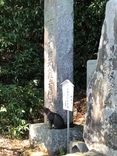 大聖寺（土浦大師不動尊）の動物