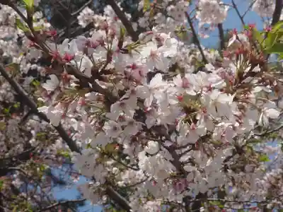平塚三嶋神社(神奈川県)
