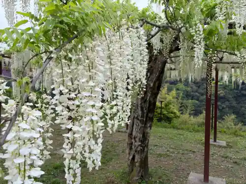和気神社の{uncategorized: "未分類", other: "その他", undefined: "問題あり", building: "その他建物", grave: "お墓", sacred_gate: "鳥居", guardian: "狛犬", statue: "像", buddha: "仏像", history: "歴史", nature: "自然", garden: "庭園", animal: "動物", pagoda: "塔", temizu: "手水舎", mountain_gate: "山門・神門", sanctuary: "本殿・本堂", subordinate: "末社・摂社", art: "芸術", scenery: "景色", jizo: "地蔵", ema: "絵馬", goshuin: "御朱印", omikuji: "おみくじ", items: "授与品その他", amulet: "お守り", goshuincho: "御朱印帳", eats: "食事", festival: "お祭り", votive_dance: "神楽", shichigosan: "七五三参", wedding: "結婚式", experience: "体験その他", initially: "初詣", around: "周辺", anti_infection: "感染症対策"}