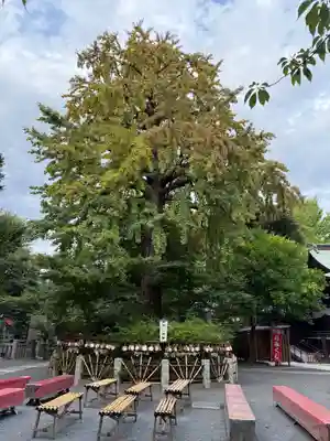 七社神社(東京都)