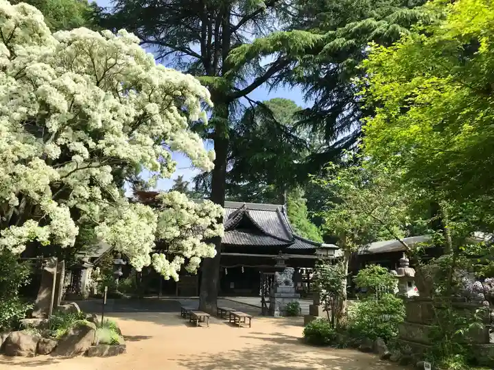 大宝八幡宮(茨城県)