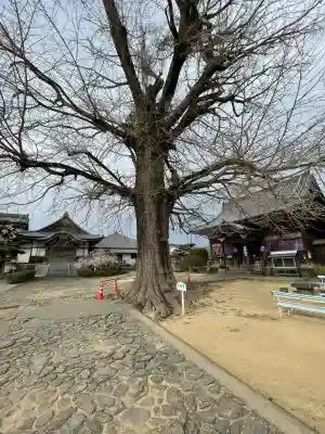 地蔵寺(徳島県)
