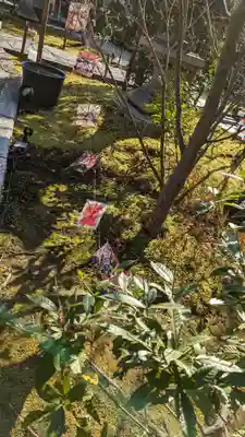 勝林寺(京都府)