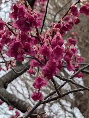 宝珠院(神奈川県)