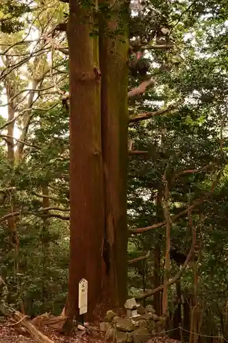 峯神社(大麻比古神社奥宮)(徳島県)