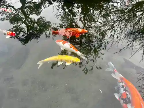 石母田　三吉神社(福島県)