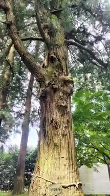 那須神社(栃木県)