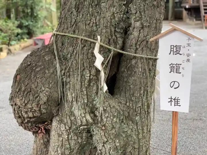 七社神社の自然