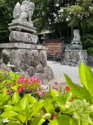 立志神社の狛犬