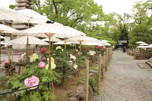 乙訓寺の庭園