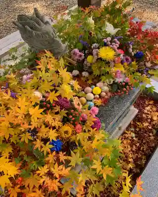 滑川神社 - 仕事と子どもの守り神の手水舎