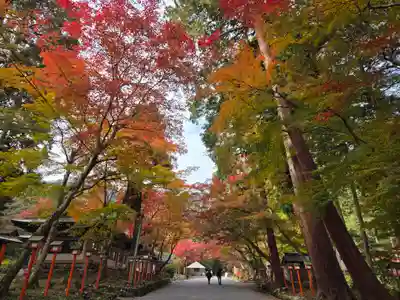日吉大社(滋賀県)