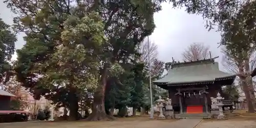 今泉神社(神奈川県)