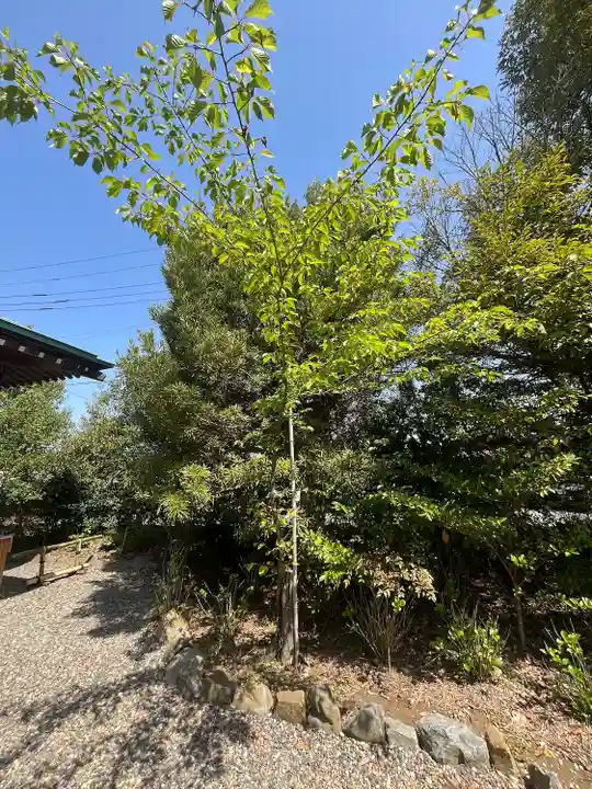 出雲大社上総教会(国吉神社内)(千葉県)