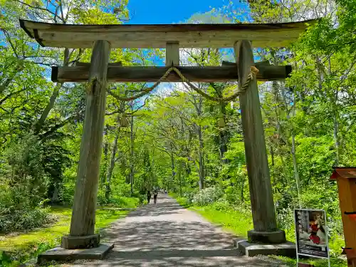 戸隠神社奥社の鳥居