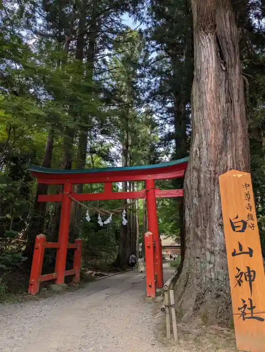 中尊寺(岩手県)