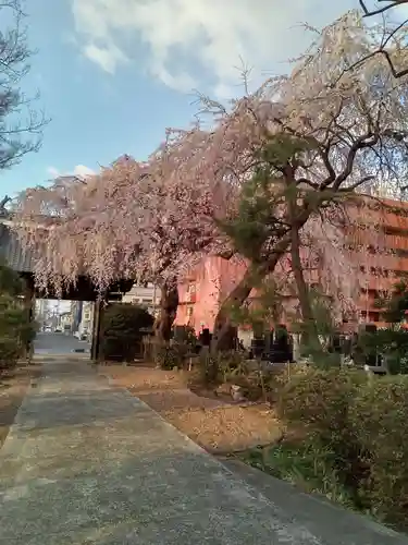 泰心院(宮城県)