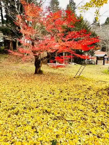 土津神社｜こどもと出世の神さまの自然