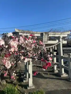 厄王大権現(山梨県)