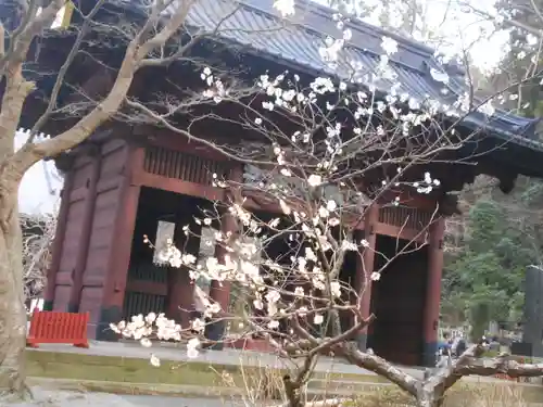 妙本寺の山門