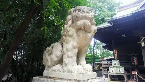 小金井神社の狛犬