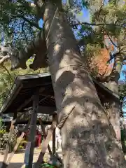 甲子園八幡神社の建物その他