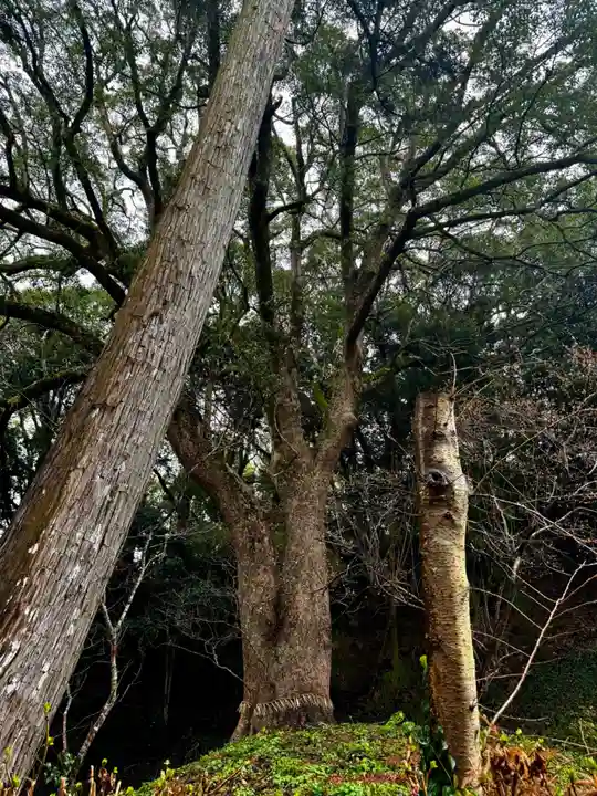 桜井大神宮(福岡県)