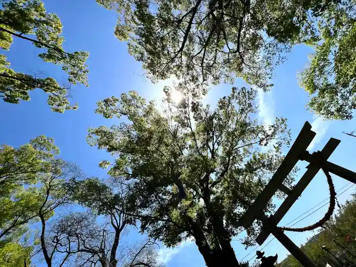 白鳥神社(長野県)