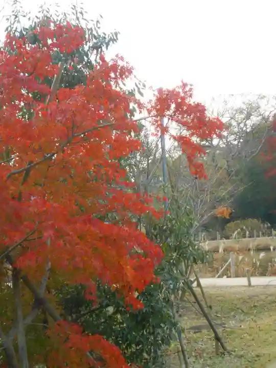 永福寺跡(永福寺址)の自然