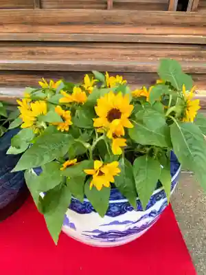 一乗寺(東京都)