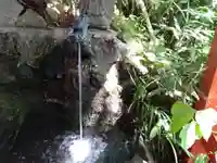 高龍神社(新潟県)