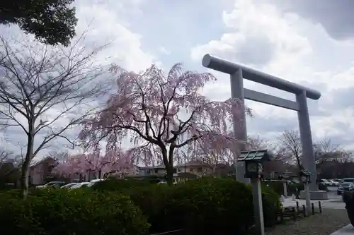 櫻木神社の鳥居