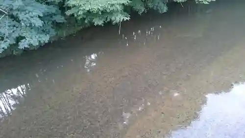 四度瀧不動明王の周辺