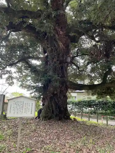一之宮貫前神社(群馬県)