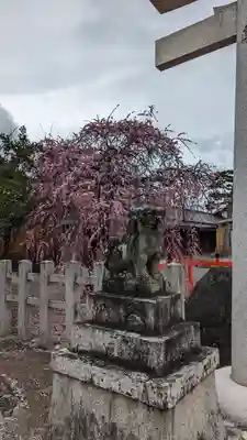 車折神社(京都府)