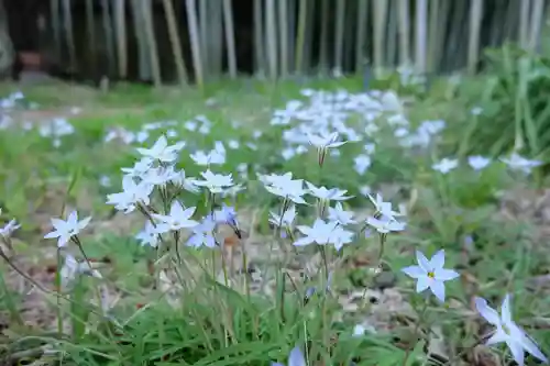 英勝寺の庭園